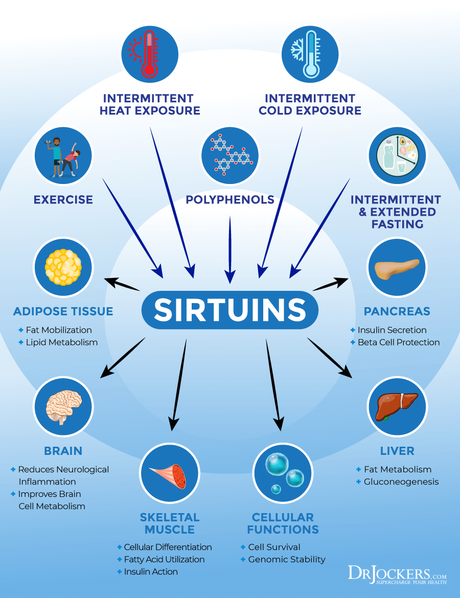 SIRTUINS-1